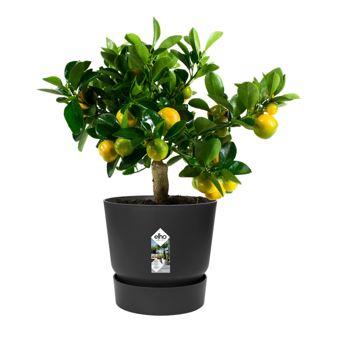 greenville rond 30cm living noir